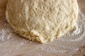 Beautiful porous structure of the approached yeast dough. Royalty Free Stock Photo