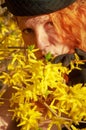 Beautiful portrait in closeup of a smiling young elegant red-haired woman in hat in the bush with yellow forsythia flowers Royalty Free Stock Photo