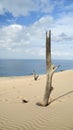 Beautiful Portrait Clouds Sand And Sea