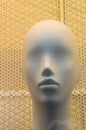 Beautiful portrait of a female mannequin Royalty Free Stock Photo