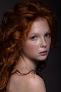 Beautiful portrait of a red-haired teenager girl Royalty Free Stock Photo