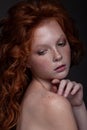 Beautiful portrait of a red-haired teenager girl Royalty Free Stock Photo