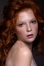 Beautiful portrait of a red-haired teenager girl Royalty Free Stock Photo