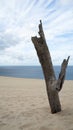 Beautiful Portrait Clouds Sand And Sea 3