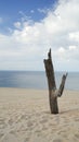 Beautiful Portrait Clouds Sand And Sea 2