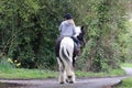 A beautiful portrait of a woman riding her horse in the countryside