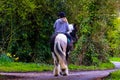 A beautiful portrait of a woman riding her horse in the countryside