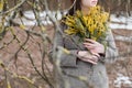 beautiful portrait of a young woman with mimosa flowers outdoors. Royalty Free Stock Photo