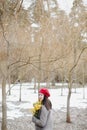 beautiful portrait of a young woman with mimosa flowers outdoors. Royalty Free Stock Photo