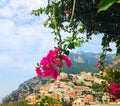 Beautiful Positano view on mountains with colorful houses framed with blooming flowers photo Royalty Free Stock Photo