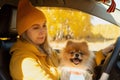 A beautiful positive woman in yellow clothes on a picnic sitting in a car with her dog Pomeranian on an autumn day Royalty Free Stock Photo