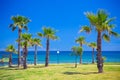 Beautiful postcard, palm trees, sea, blue sky