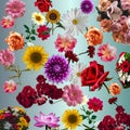 Beautiful poster of nicely arranged flowers