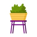 Beautiful potted home plant on stool. Decorative indoor bush. Vector illustration. Trendy house decor. Green houseplant