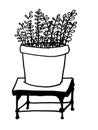 Beautiful Potted Home Plant On Stool. Hand Drawn Doodle Style. Green House Plant. Illustration.