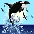 Orca Killer Whale jumping out of Ocean Vector illustration Royalty Free Stock Photo