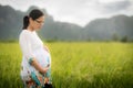 Beautiful Pregnant Asian Woman in Rice Field Royalty Free Stock Photo