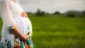 Beautiful Pregnant Asian Woman in Rice Field Royalty Free Stock Photo