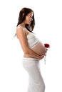 Beautiful pregnant brunette lady on white backgrou