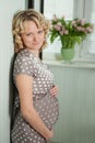 Beautiful pregnant female Royalty Free Stock Photo