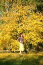 Beautiful pregnant girl autumn in the Park.Girl in yellow dress and blue hat. Girl holding a bouquet of yellow leaves. Royalty Free Stock Photo