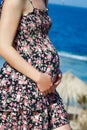 Beautiful pregnant girl at sea background Royalty Free Stock Photo