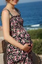 Beautiful pregnant girl at sea background Royalty Free Stock Photo