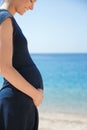 Beautiful pregnant girl at sea background Royalty Free Stock Photo