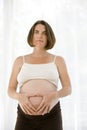 Beautiful pregnant series Royalty Free Stock Photo