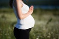 Beautiful pregnant woman doing yoga in the camomile field Royalty Free Stock Photo