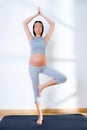 Beautiful pregnant woman gym fitness exercise Royalty Free Stock Photo