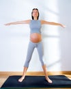 Beautiful pregnant woman gym fitness exercise Royalty Free Stock Photo