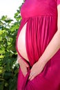 Beautiful pregnant woman and lady is hugging and holding her pregnant belly, standing in natural environment. Waiting for baby. Royalty Free Stock Photo