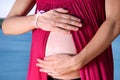 Beautiful pregnant woman and lady is hugging and holding her pregnant belly, standing in natural environment. Waiting for baby. Royalty Free Stock Photo