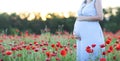 Beautiful pregnant woman relaxing in poppy field Royalty Free Stock Photo