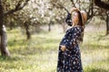 A beautiful pregnant woman in a straw hat in the spring flowering park. The expectant mother walks in the spring garden. Waiting