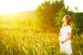 Beautiful pregnant woman in summer nature meadow in sunset Royalty Free Stock Photo