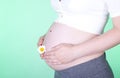 Beautiful pregnant woman touching her lovely belly Royalty Free Stock Photo