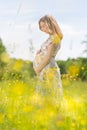 Beautiful pregnant woman in white summer dress in meadow full of yellow blooming flowers. Royalty Free Stock Photo