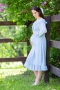 beautiful pregnant yong woman in a blue dress stands near a fence