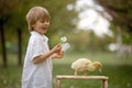 Beautiful preschool boy, playing in the park with little ducks and blowing dandelions, rural scene Royalty Free Stock Photo