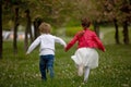 Beautiful preschool boy, playing in the park with little ducks and blowing dandelions Royalty Free Stock Photo