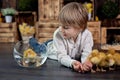 Beautiful preschool child, boy, playing with ducklings at home