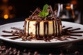 beautiful presentation of cheesecake with drizzle of warm chocolate sauce and sprinkle of mini chocolate chips