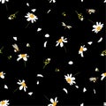 Beautiful pretty daisy floral print blowing in the wind design with bumble bees seamless pattern in vector for fashion ,fabric ,