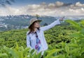 Beautiful pretty woman in the hat standing at the tea plantations and pointing direction with finger Royalty Free Stock Photo