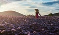 Beautiful and pretty woman in pink and sun hat, walks among purple flowers, and enjoys the last rays of the setting Sun. Royalty Free Stock Photo