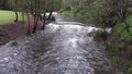 Beautiful pristine running river