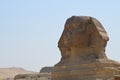 Beautiful profile of the Great Sphinx Royalty Free Stock Photo