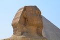 Beautiful profile of the Great Sphinx Royalty Free Stock Photo